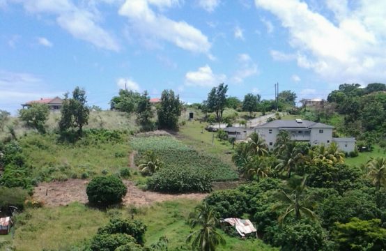Dominica Real Estate: Land For Sale In Salisbury