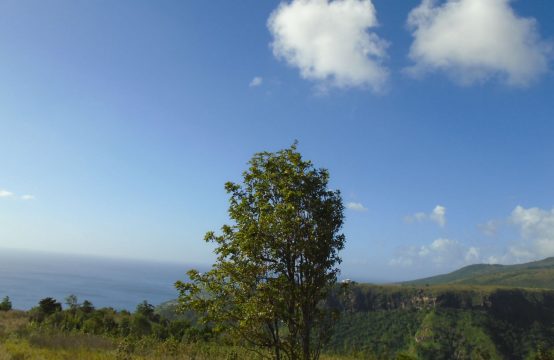 Dominica Real Estate: 1 acre land for sale at Cuba Road, Mero