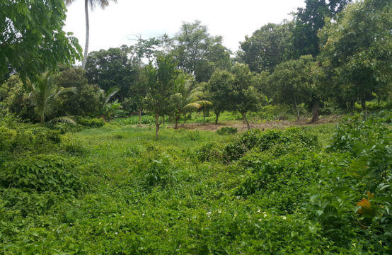 Dominica Real Estate: Lots For Sale In La Plaine