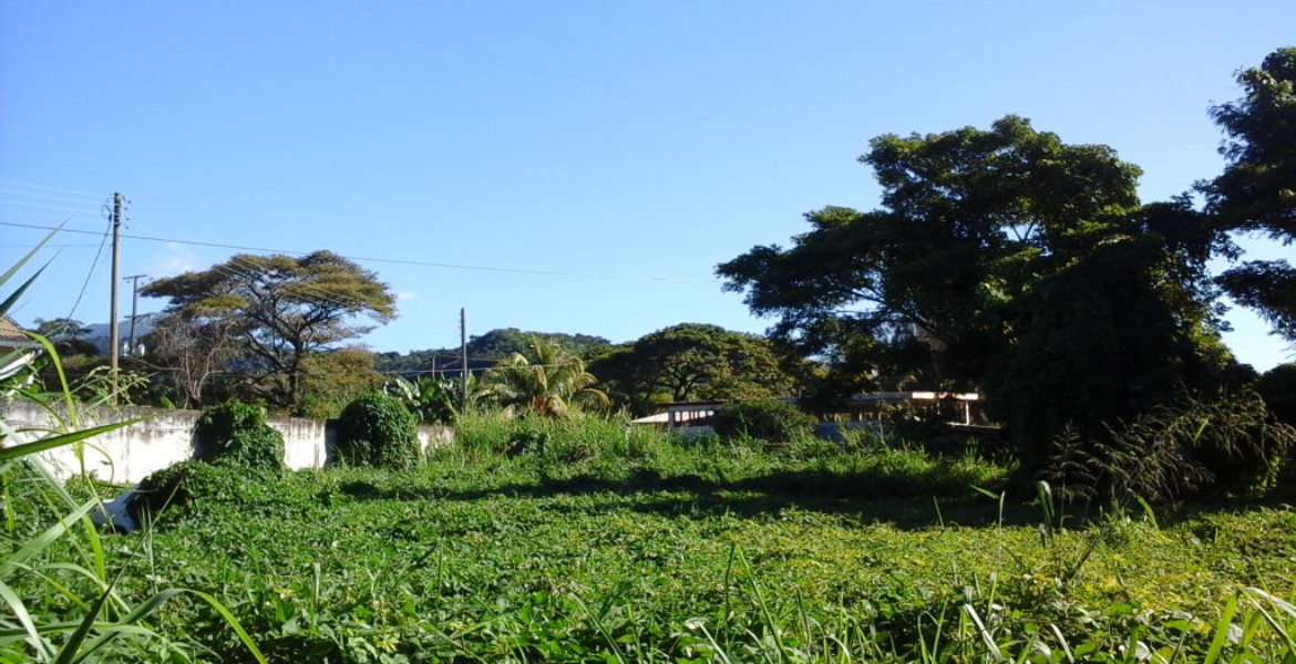 Commercial Lot For Sale in Canefield Millenia Realty Dominica