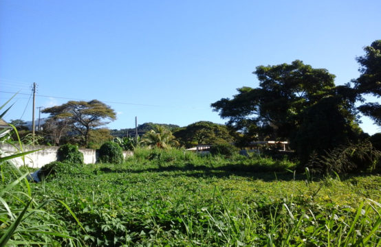 Dominica Real Estate: Land For Sale In Canefield, Dominica