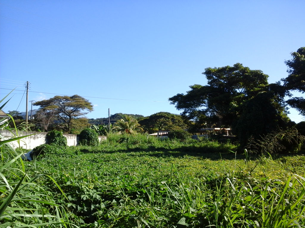 Huge Commercial Lot For Sale in Canefield Millenia Realty Dominica