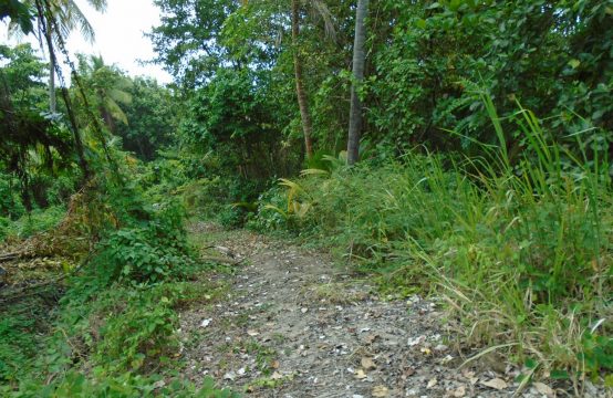 Dominica Real Estate: Land For Sale at North-End, Marigot