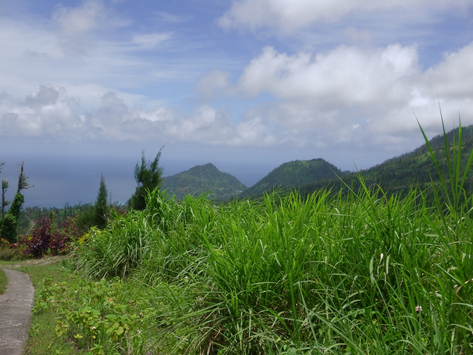 Lots For Sale In Bellevue Chopin Millenia Realty Dominica