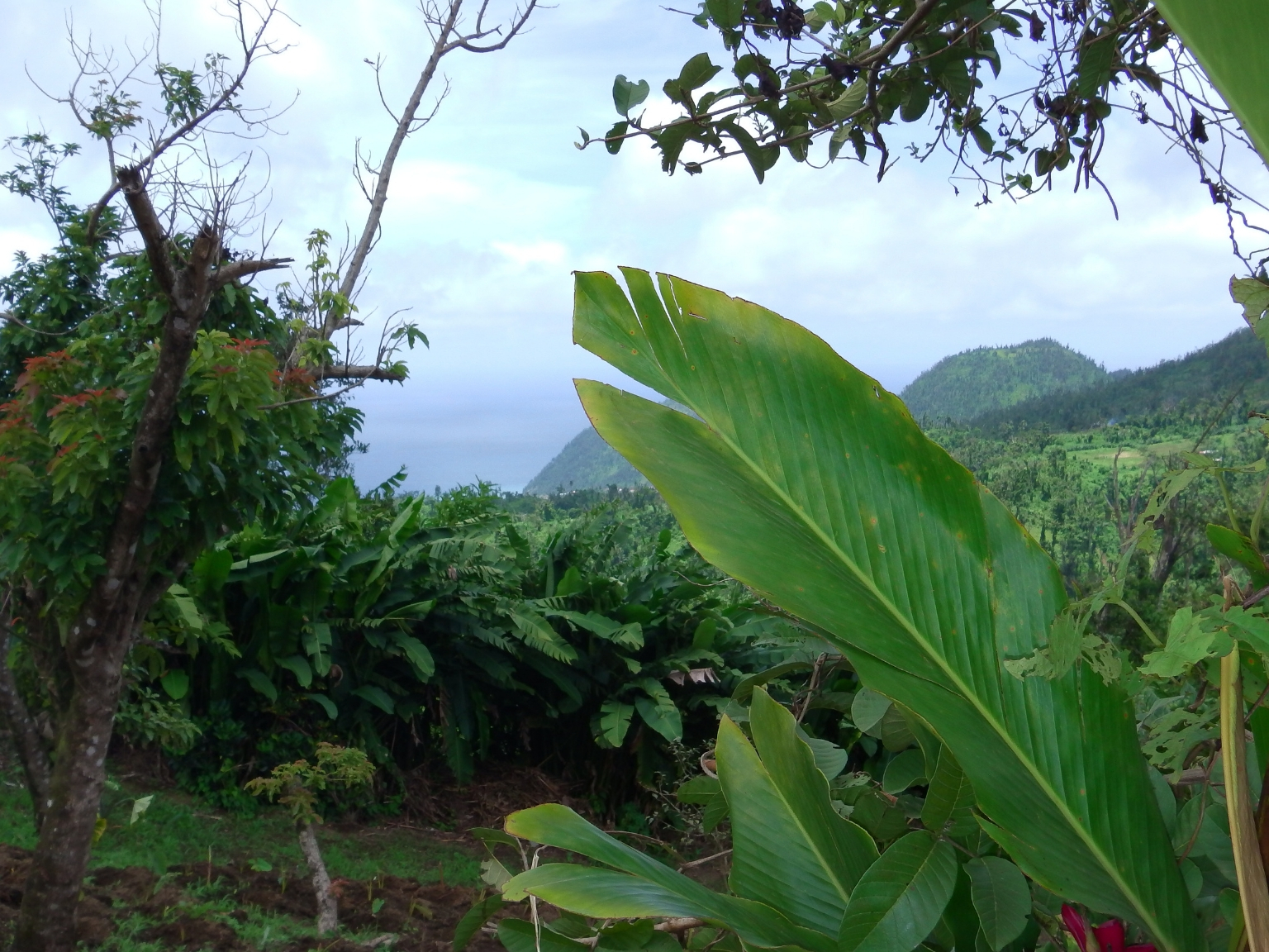 Lots For Sale In Bellevue Chopin Millenia Realty Dominica