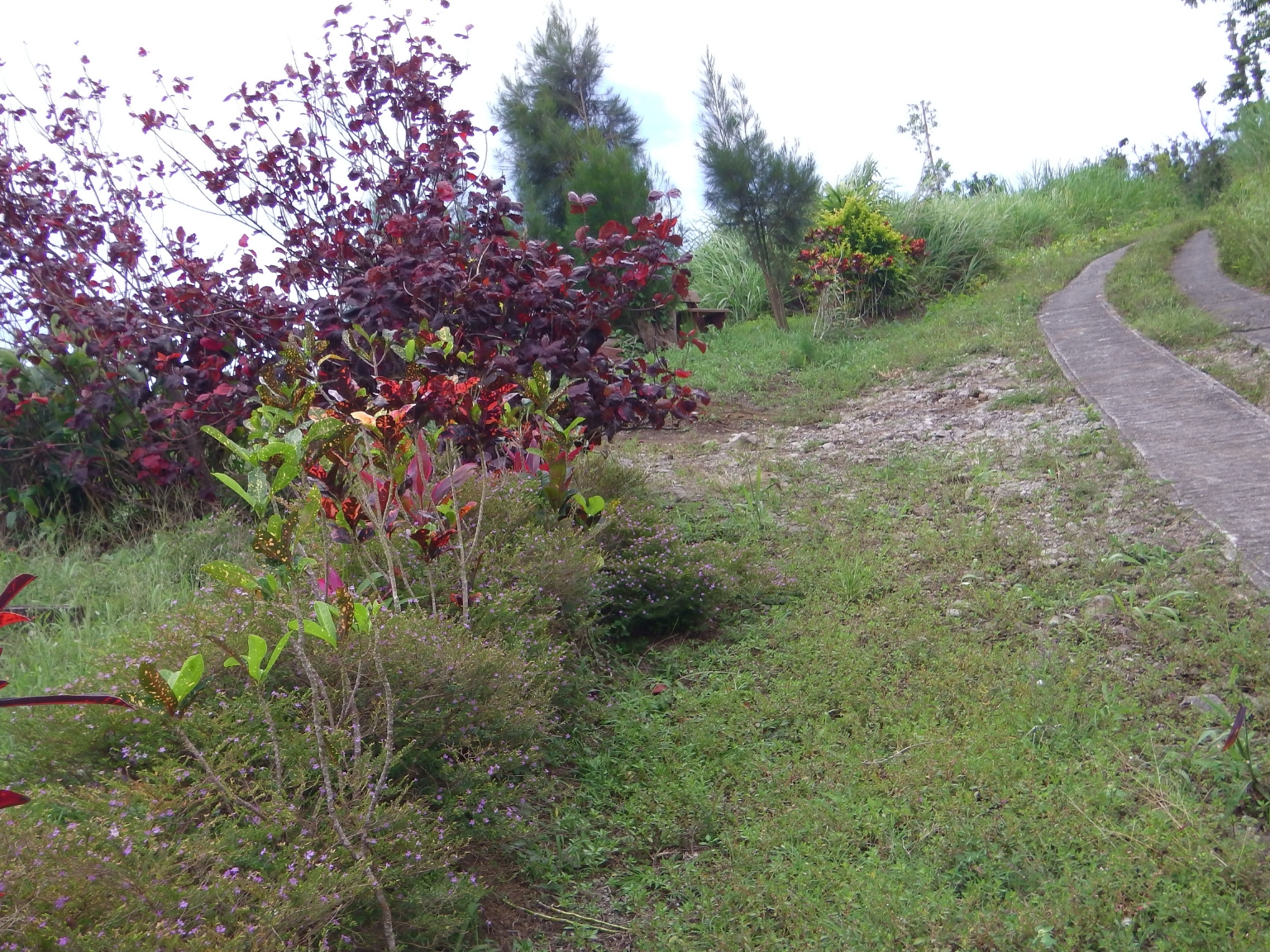 Lots For Sale In Bellevue Chopin Millenia Realty Dominica