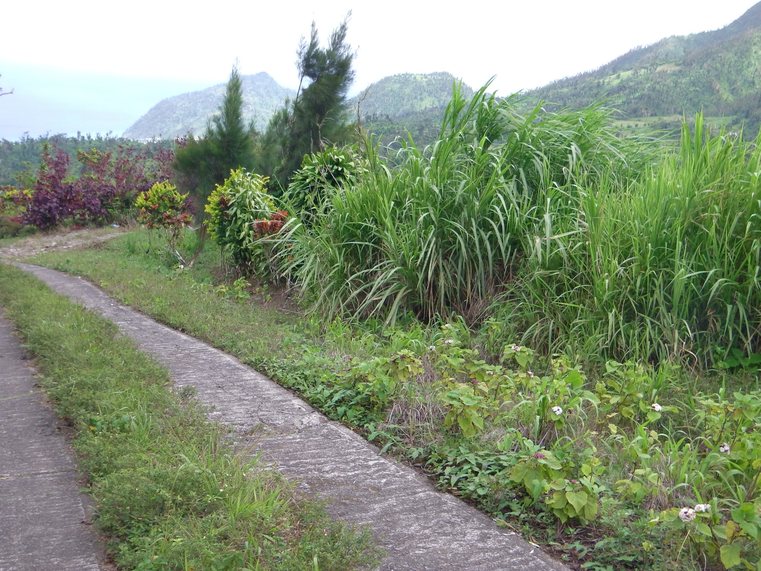Lots For Sale In Bellevue Chopin Millenia Realty Dominica