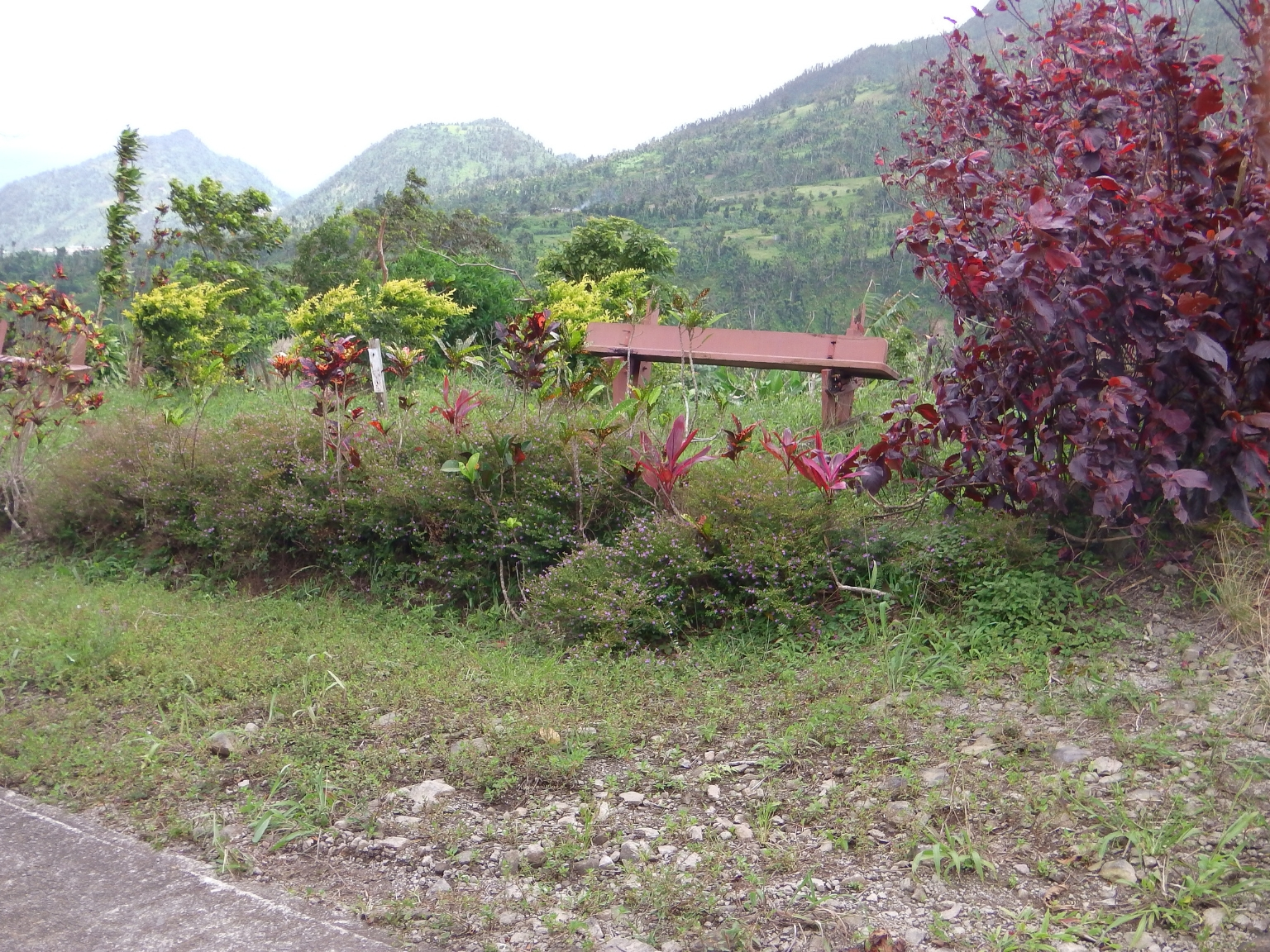 Lots For Sale In Bellevue Chopin Millenia Realty Dominica
