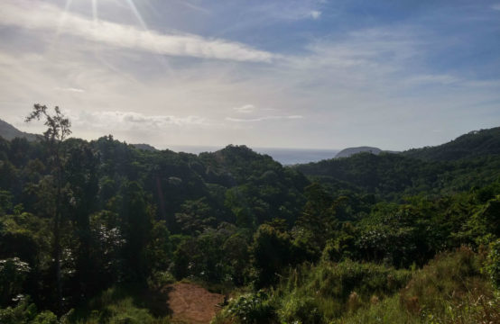Dominica Real Estate: Acres of land in Bourne for sale