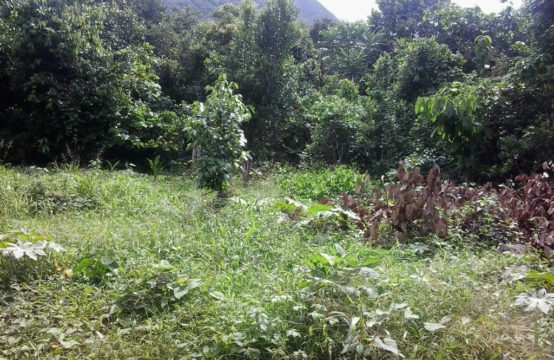 Dominica Real Estate: Property for sale in La Plaine