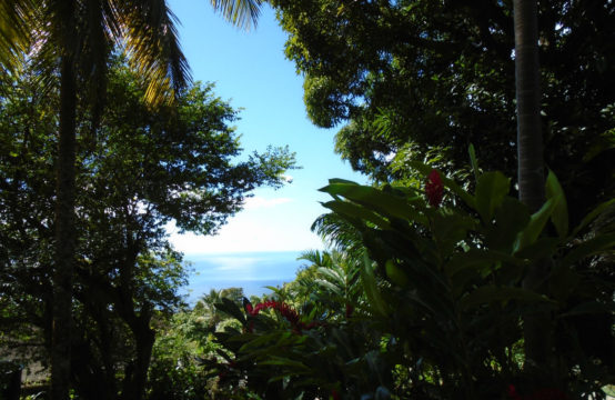 Dominica Real Estate: Land For Sale At Gommier