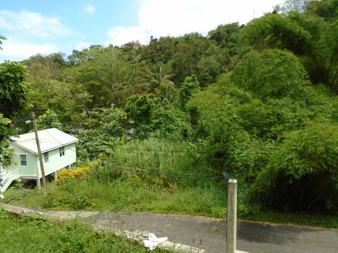 2 Bedroom Apartment For Rent In Wall House Millenia Realty Dominica