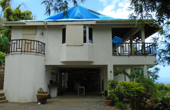 Dominica Real Estate: 3 Bedroom Home in Eggleston For Sale