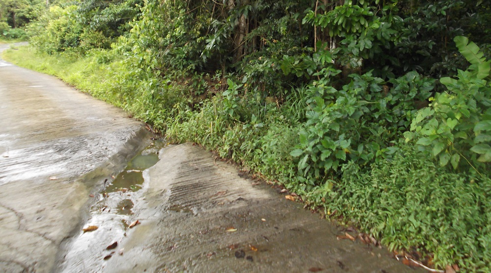 Land For Sale In Picard, Portsmouth Millenia Realty Dominica