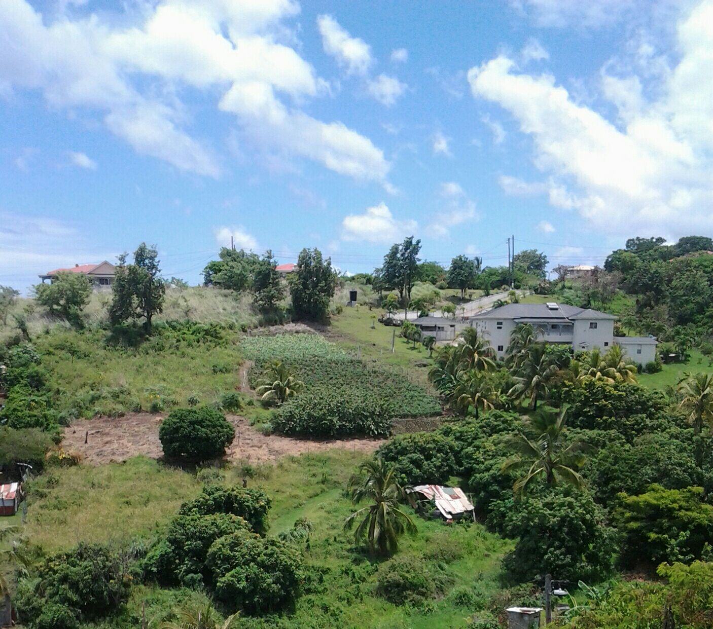 Dominica Real Estate: Land For Sale In Salisbury