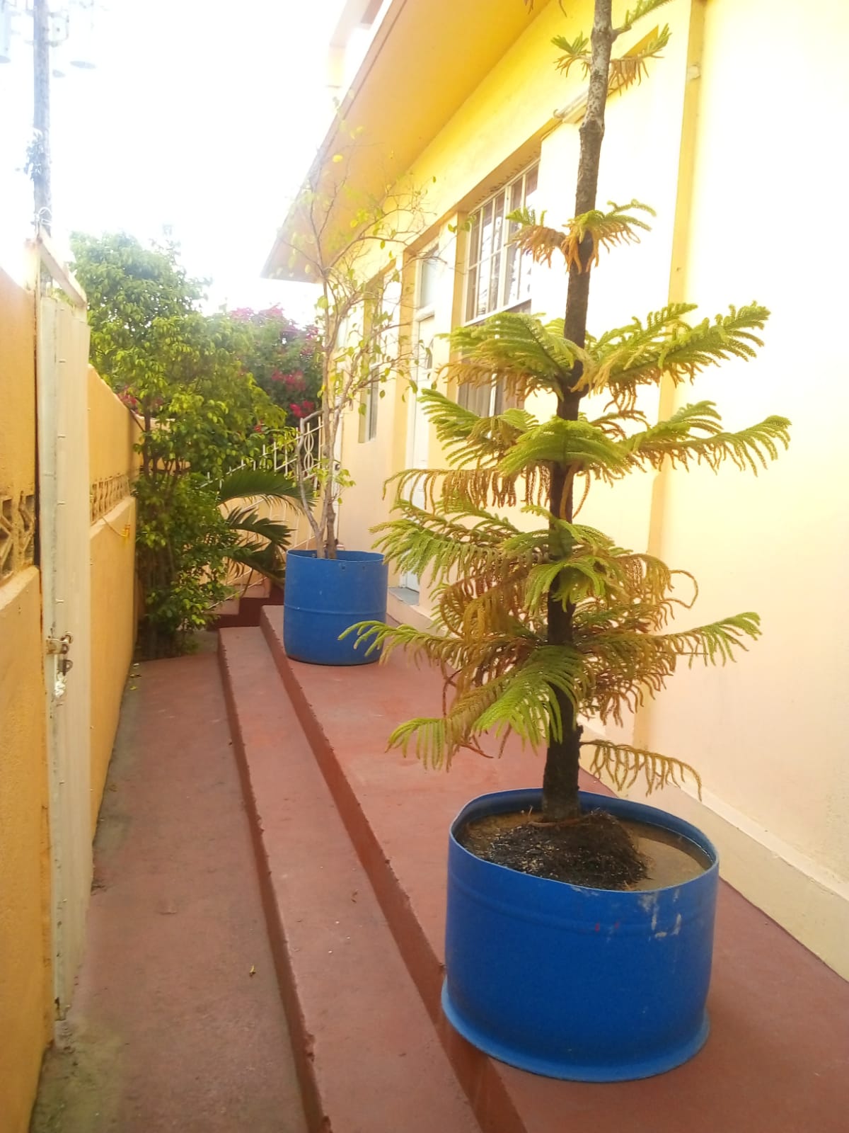2 Bedroom Apartment For Rent In Goodwill (RENTED OUT) Millenia Realty Dominica