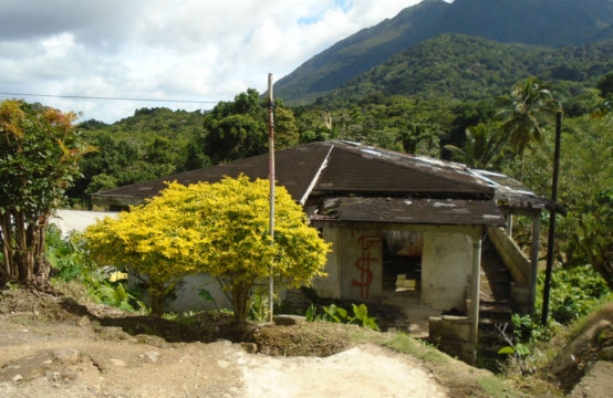 Dominica Real Estate House For Sale In Despor