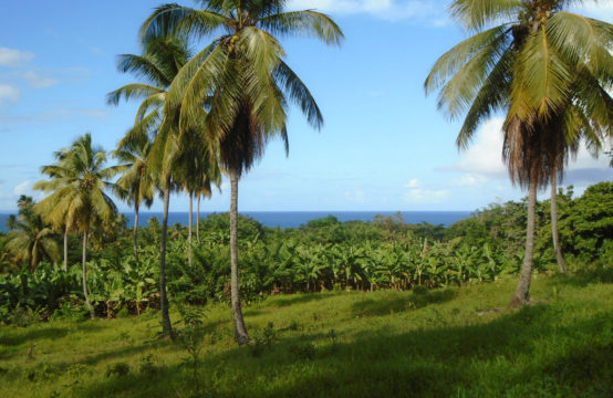 Dominica Real Estate: Half Acre Portion Of Land In Marigot