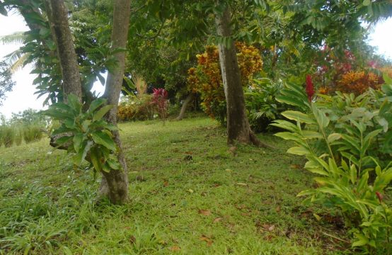 Dominica Real Estate For Sale In Savanne Pille