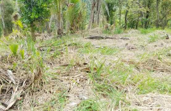 Dominica Real Estate: Land For Sale In Calibishie