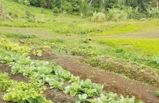 Dominica Real Estate: Land For Sale In Riversdale Estate