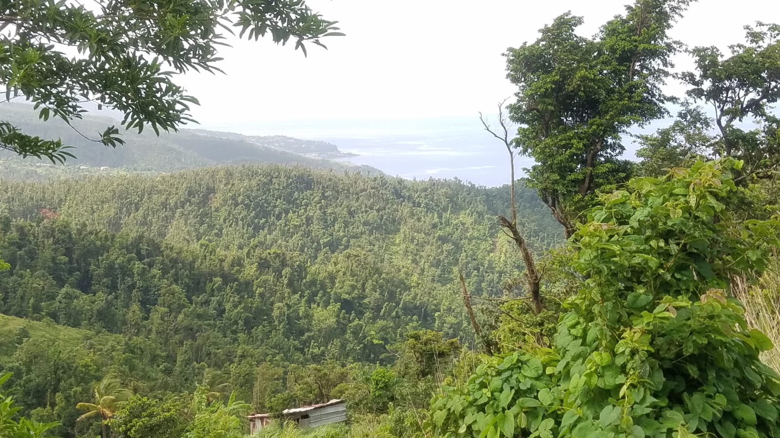 Land For Sale In Warner Millenia Realty Dominica