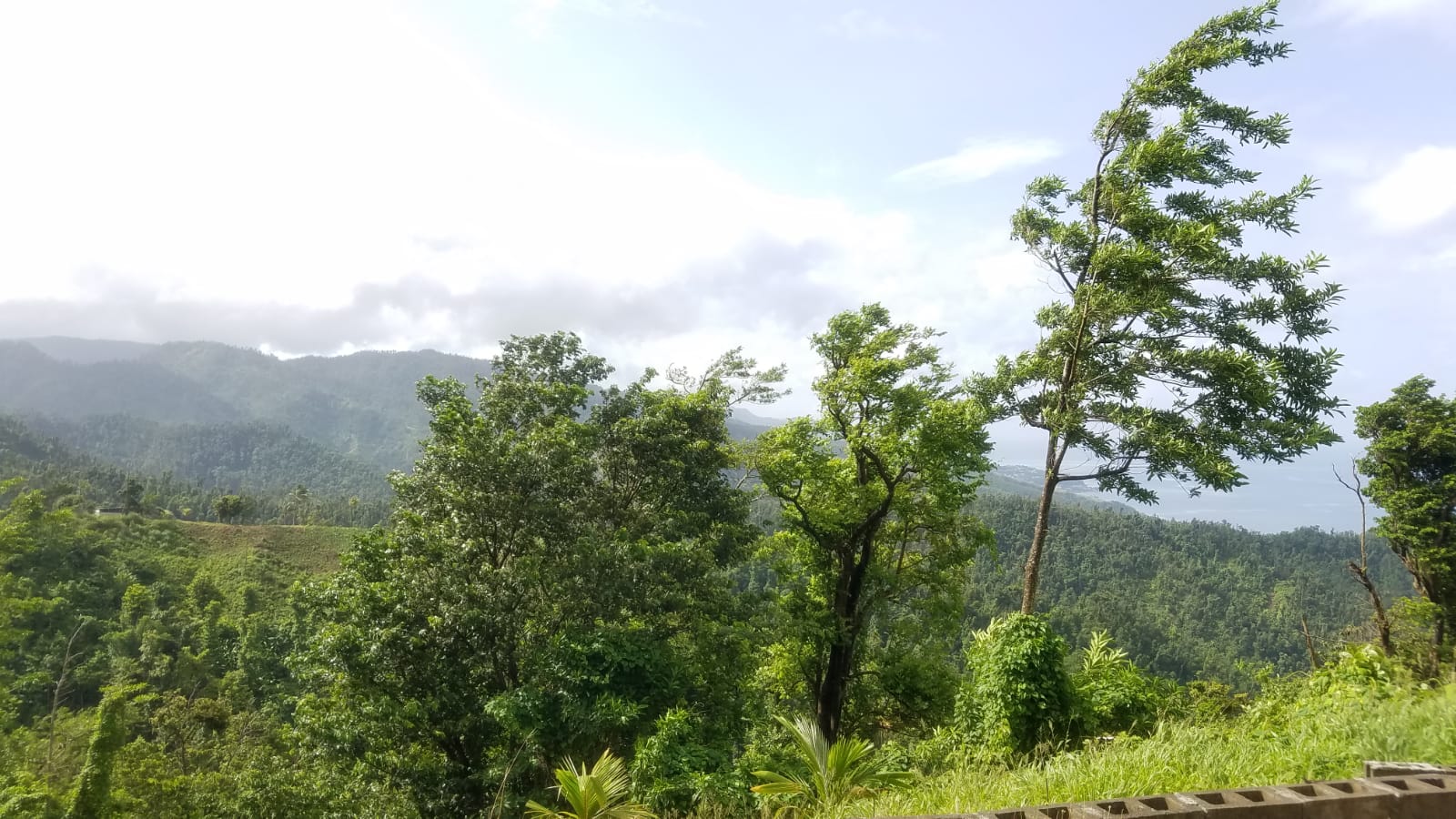 Land For Sale In Warner Millenia Realty Dominica