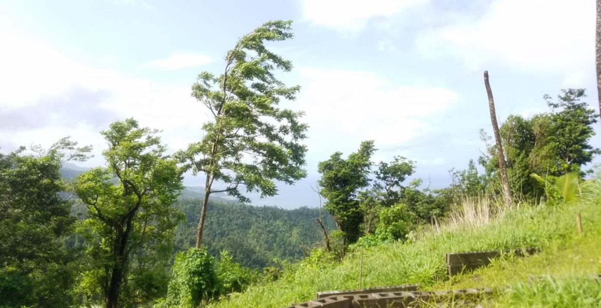 Land For Sale In Warner Millenia Realty Dominica