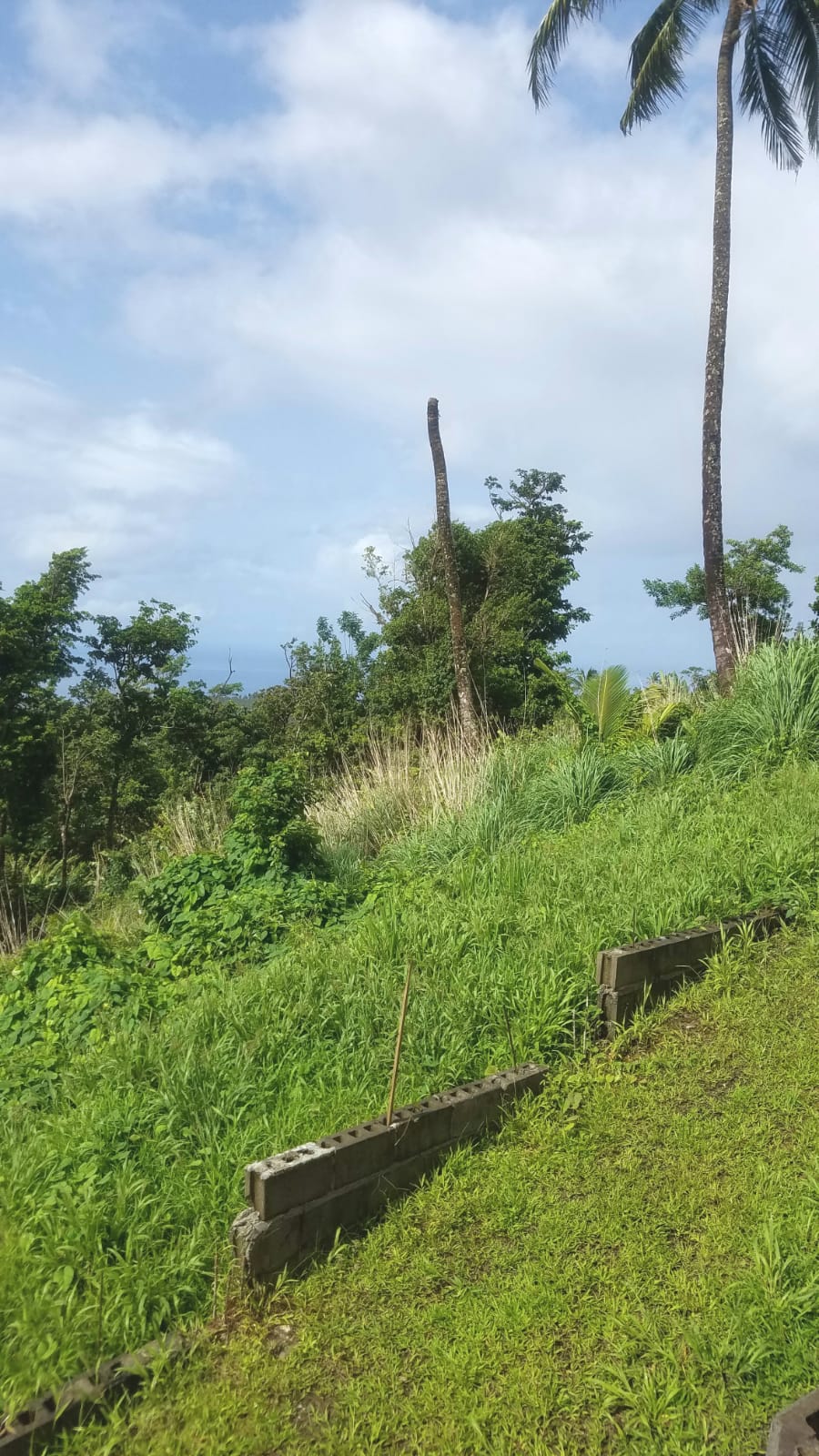 Land For Sale In Warner Millenia Realty Dominica