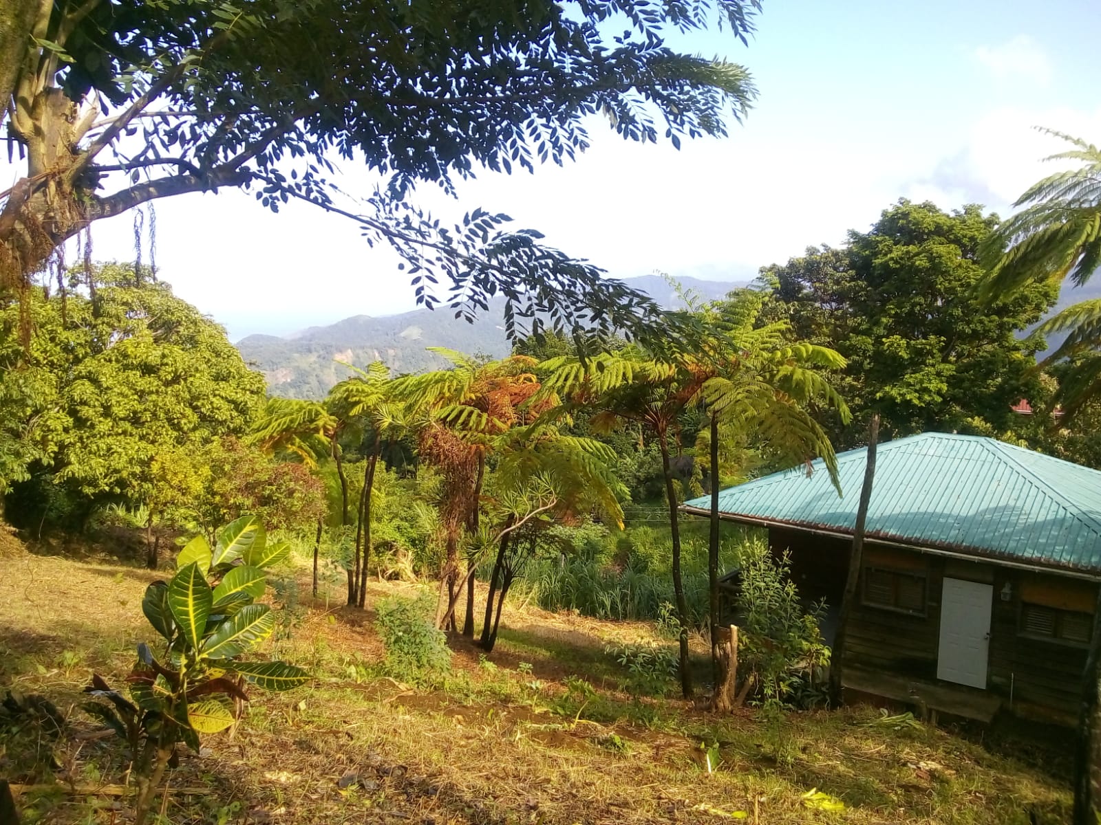 Property For Sale In Giraudel, Dominica