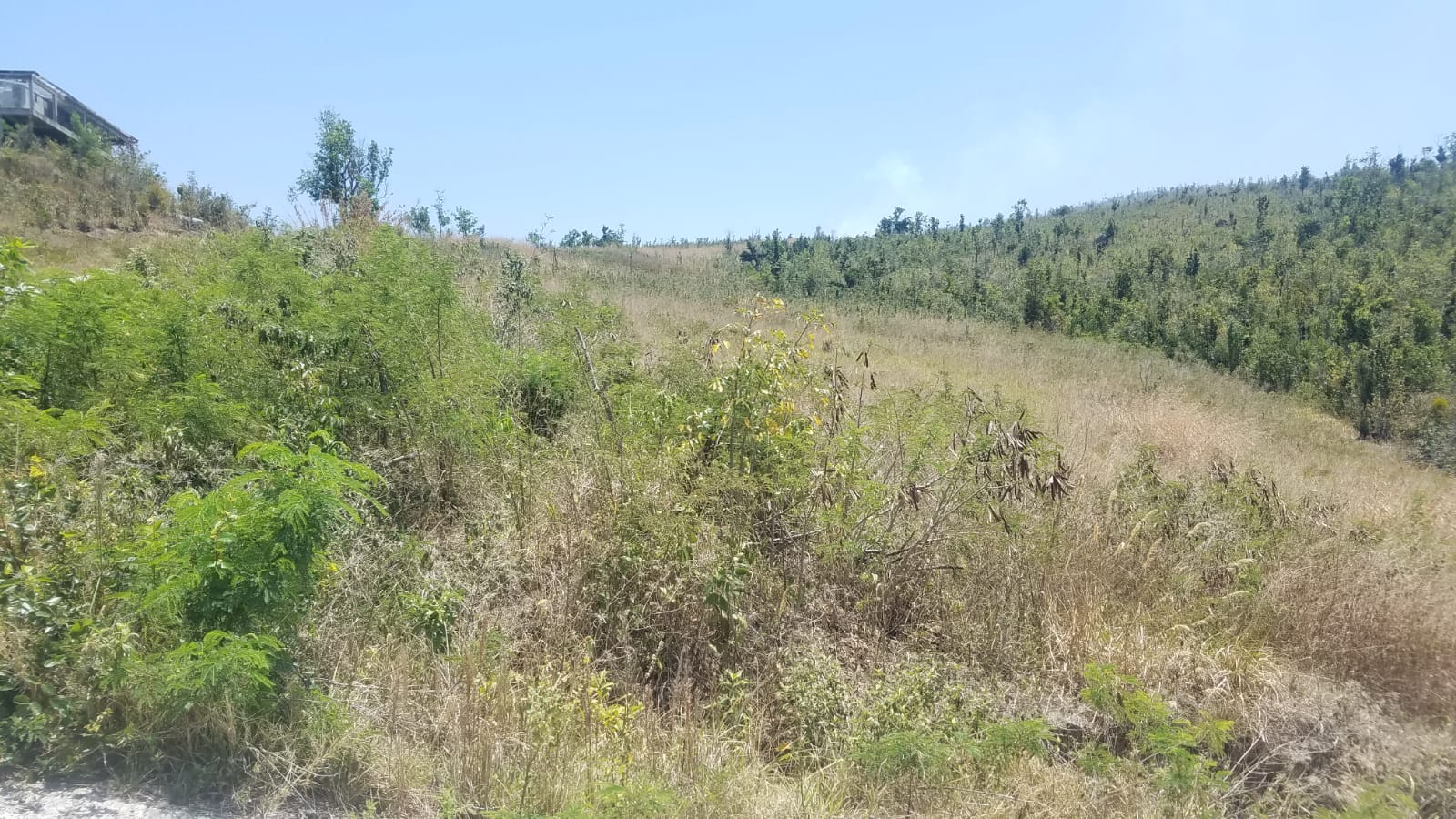 1 Acre Lot For Sale At Cuba Road, Mero Millenia Realty Dominica