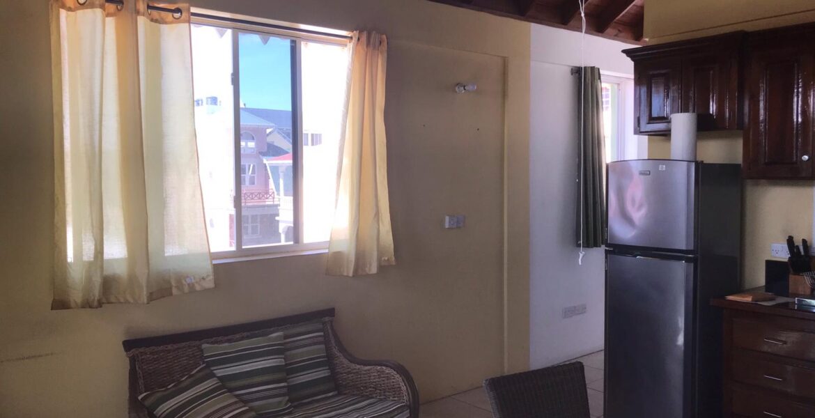 1 Bedroom Apartment For Rent In Roseau Millenia Realty Dominica