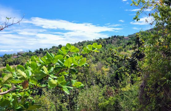 1 Acre Lots For Sale At Toucarie, Dominica