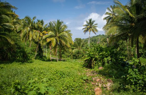 Land For Sale At Rosalie Estate, Dominica