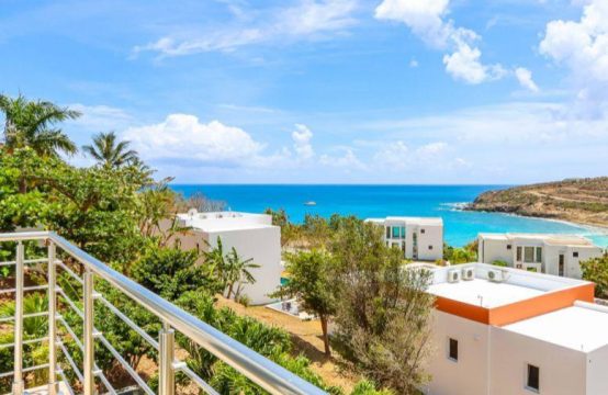Oceanview Villa In Sint Maarten