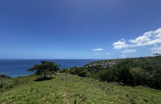 Sea View Lot For Sale In Macoucherie