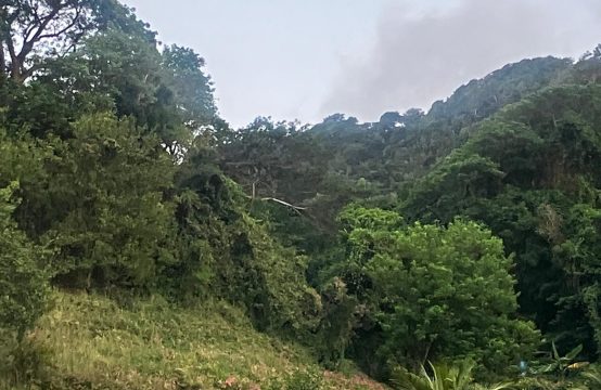 Land For Sale In Gallion