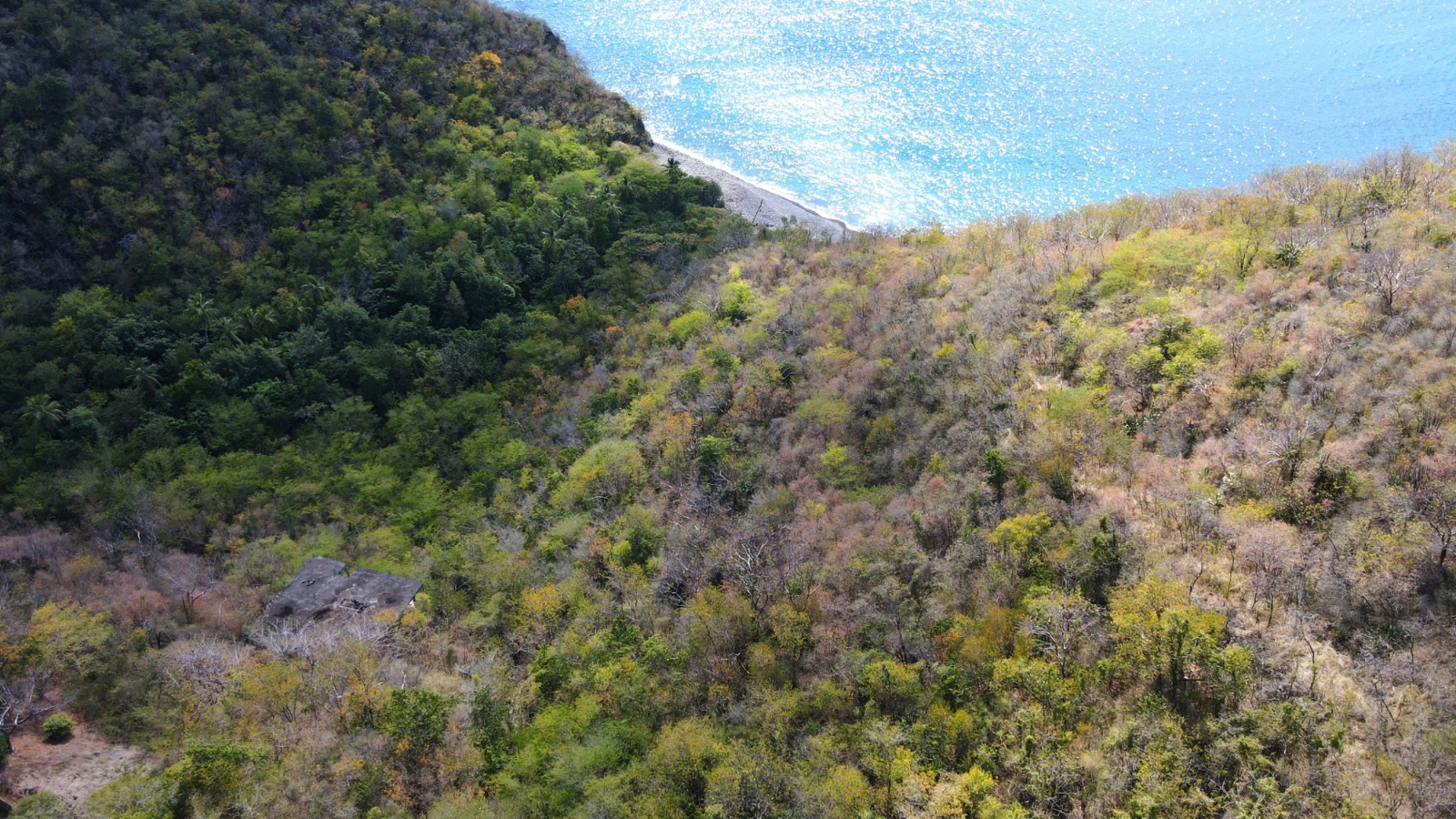 Hillside Land with Sea Views for Sale in Colihaut Dominica - Millenia ...