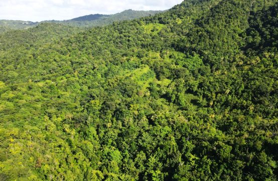 Land For Sale In Portsmouth